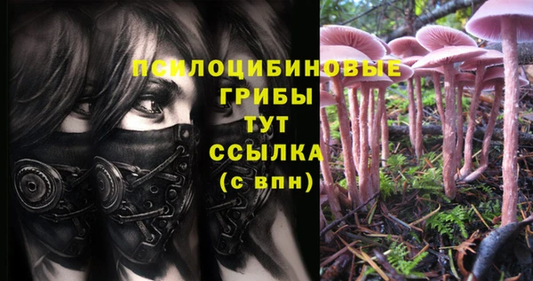 метадон Козельск
