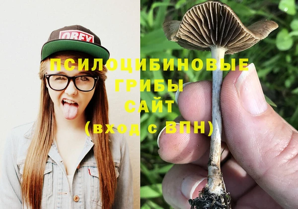 твердый Костерёво