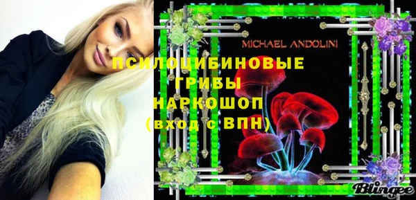 прущий лед Корсаков