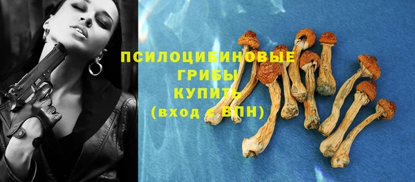 ГАЛЛЮЦИНОГЕННЫЕ ГРИБЫ Кодинск