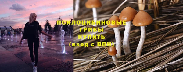 метадон Козельск