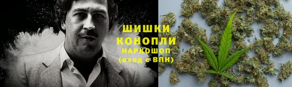 ГАЛЛЮЦИНОГЕННЫЕ ГРИБЫ Кодинск