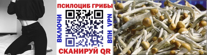 что такое   Кирсанов  Псилоцибиновые грибы GOLDEN TEACHER 